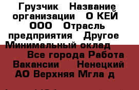 Грузчик › Название организации ­ О’КЕЙ, ООО › Отрасль предприятия ­ Другое › Минимальный оклад ­ 25 533 - Все города Работа » Вакансии   . Ненецкий АО,Верхняя Мгла д.